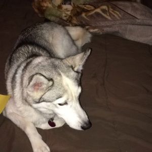 Meet your Posher, Caleb